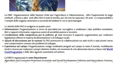 Informagiovani Ceccano Ultimora 41-2018